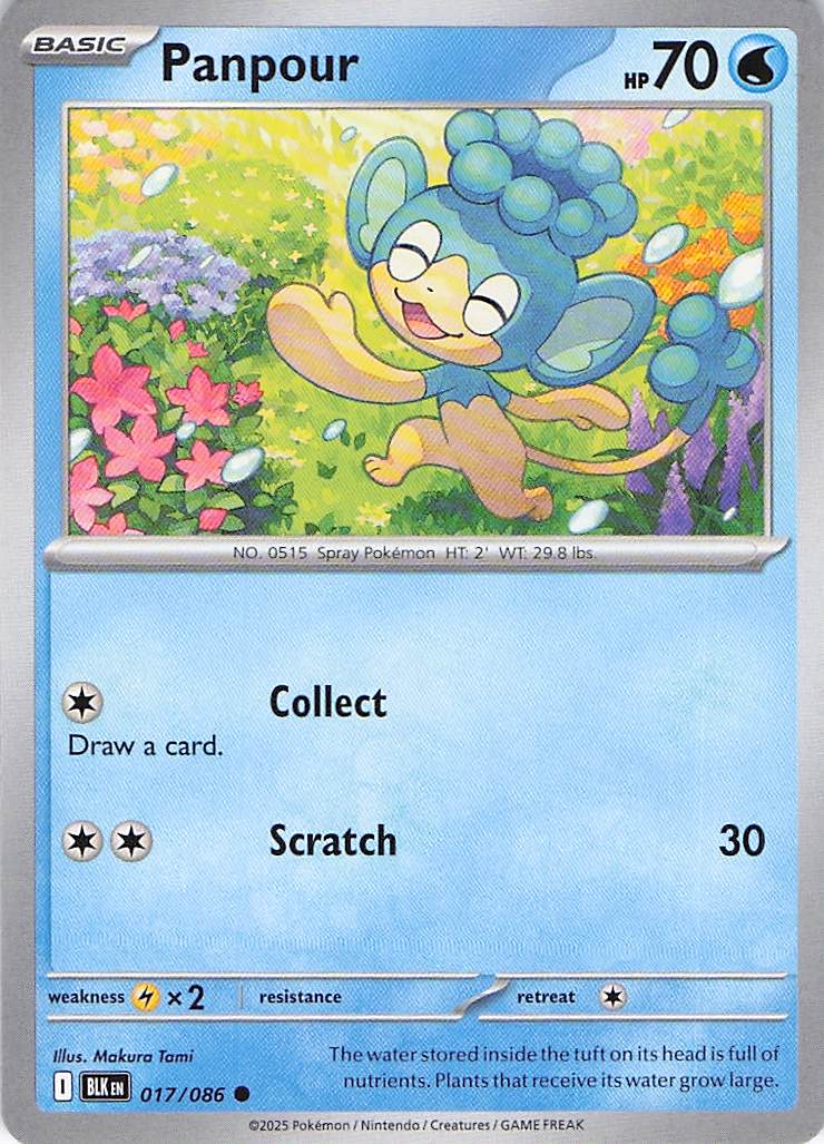 Pokemon TCG - Panpour 017/086 Black Bolt NM