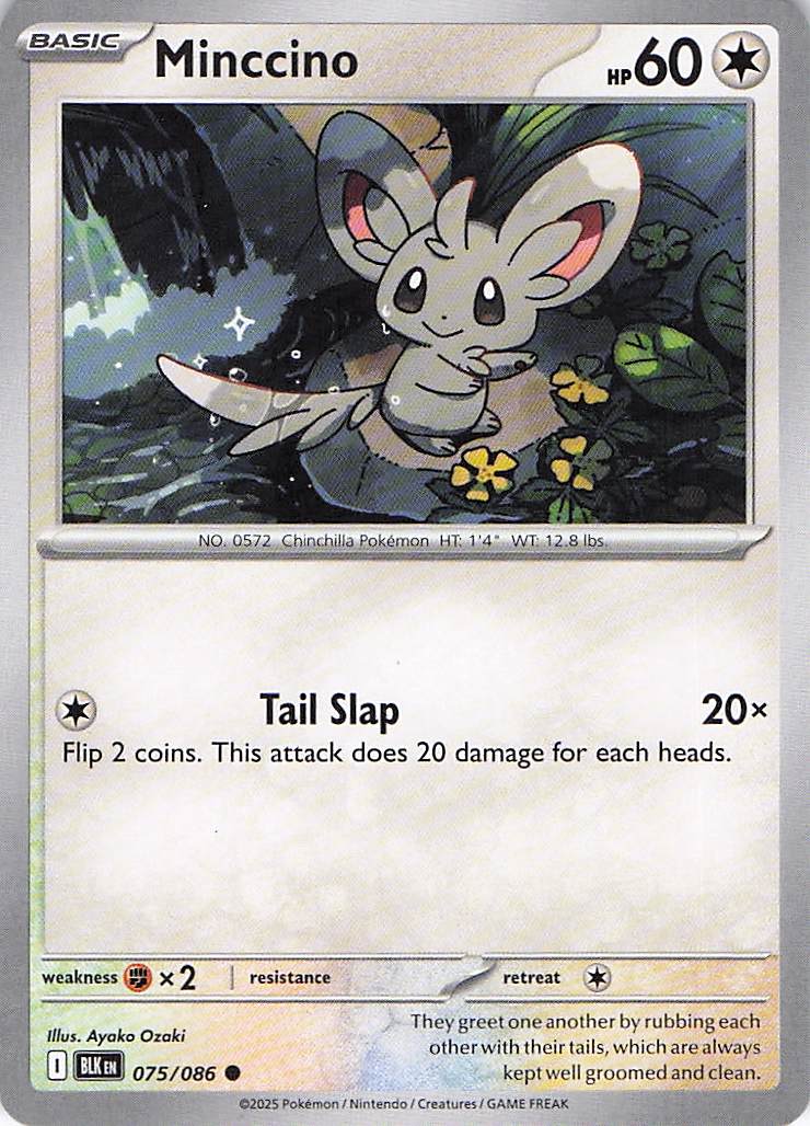 Pokemon TCG - Minccino 075/086 Black Bolt NM