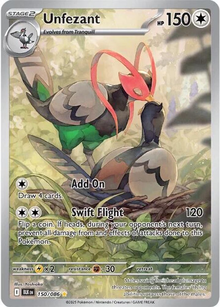 Unfezant 150/086 Holo Illustration Rare Black Bolt Pokemon NM