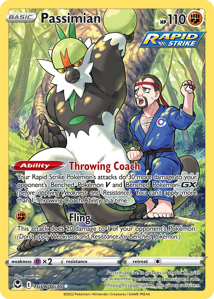Passimian TG08/TG30 Silver Tempest Trainer Gallery Pokemon NM