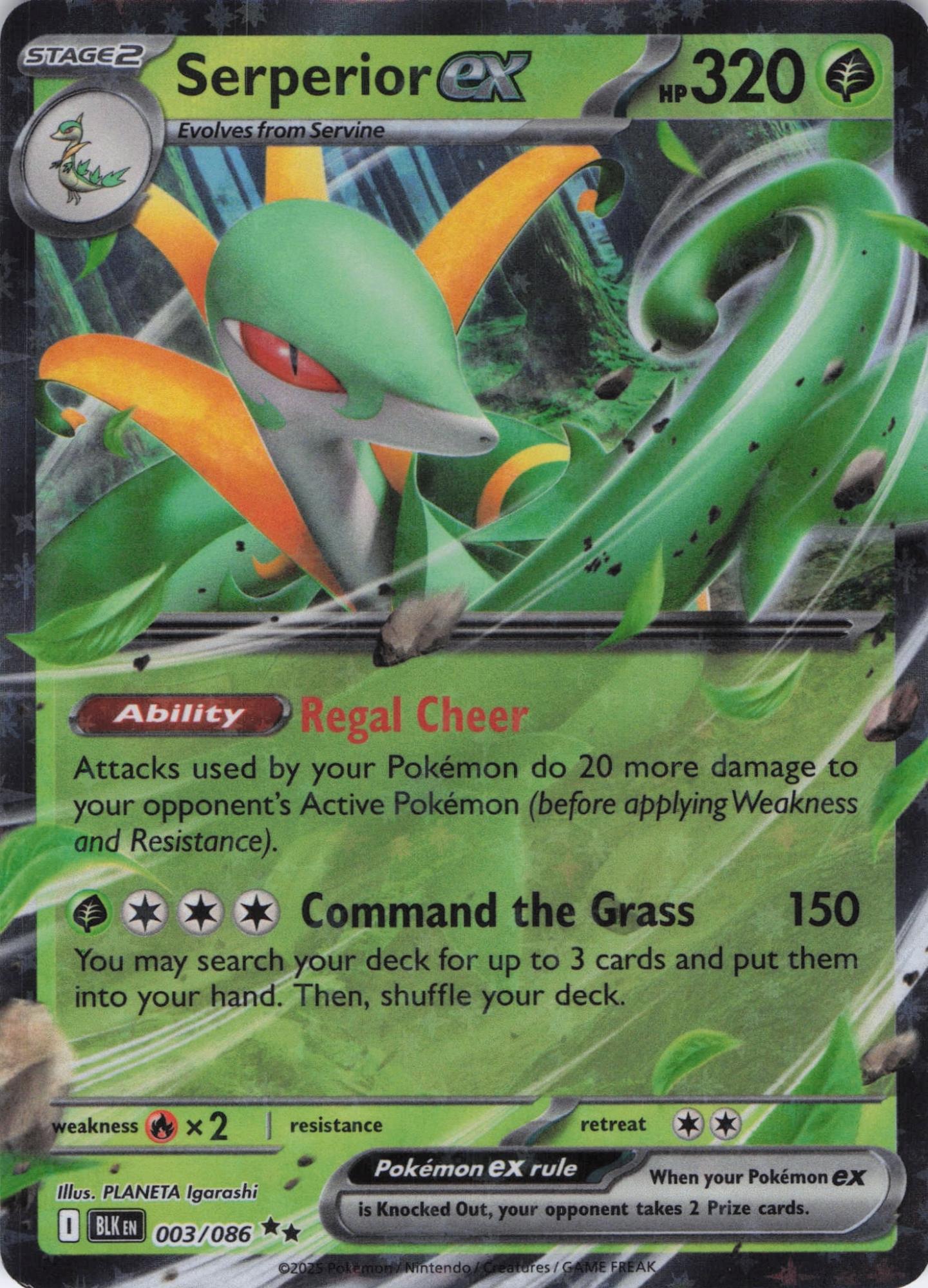 Serperior ex 003/086 Double Rare Black Bolt Pokemon Near Mint