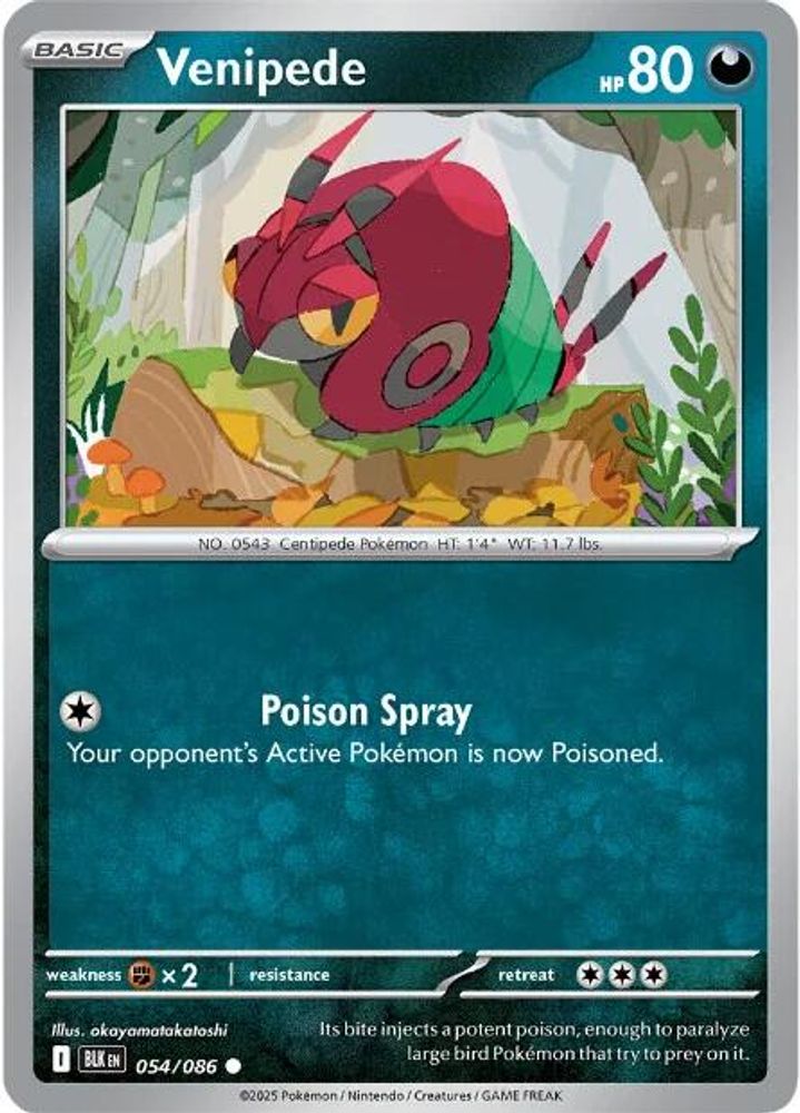 Pokemon TCG - Venipede 054/086 Black Bolt NM