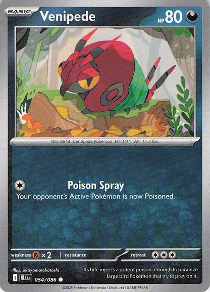 Pokemon TCG - Venipede 054/086 Black Bolt NM