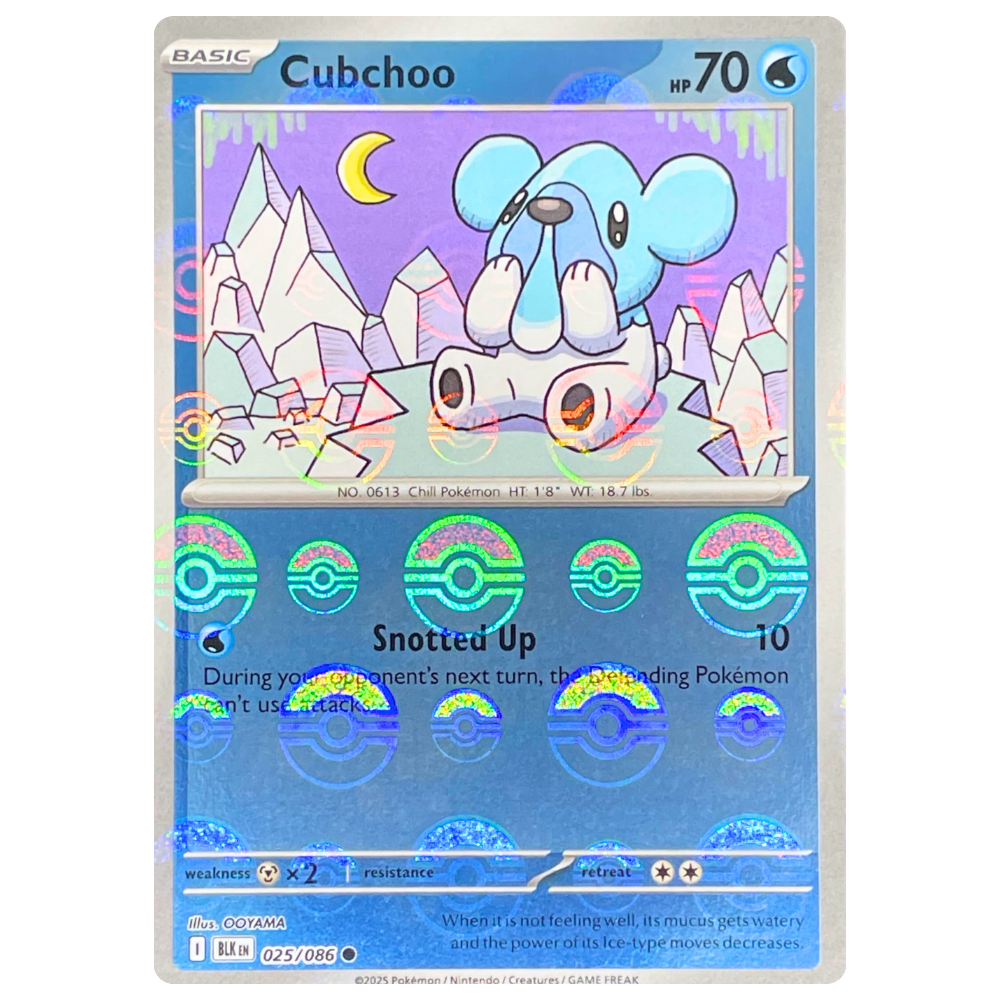 Pokemon TCG - Cubchoo 025/086 - Poke Ball Reverse Holo NM/M [Black Bolt]