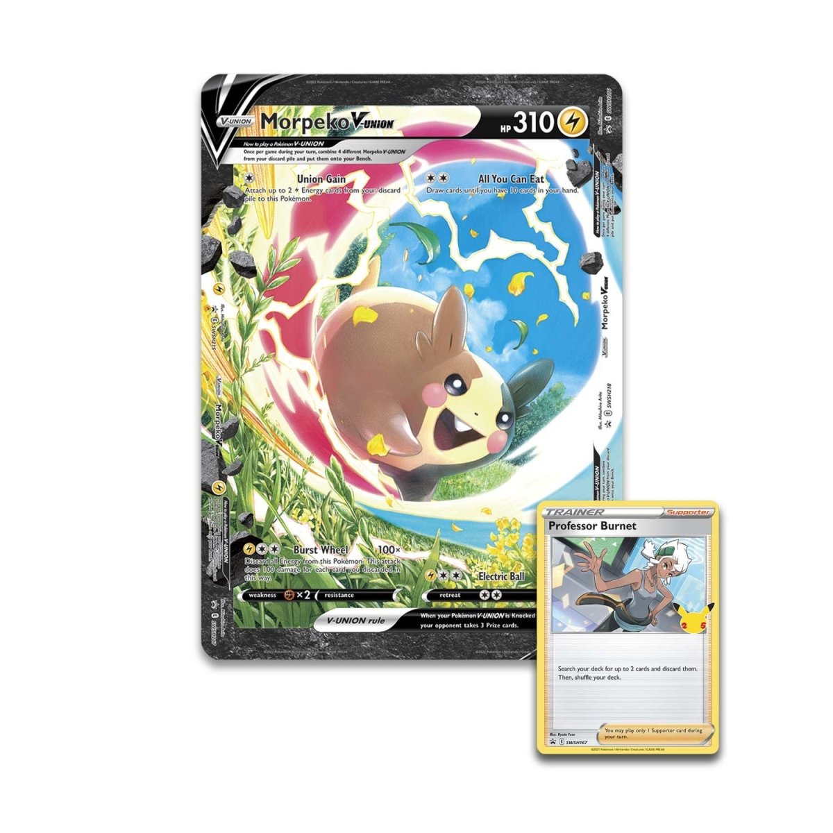 Morpeko V Union Collection