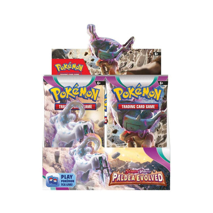 Paldea Evolved Booster Box