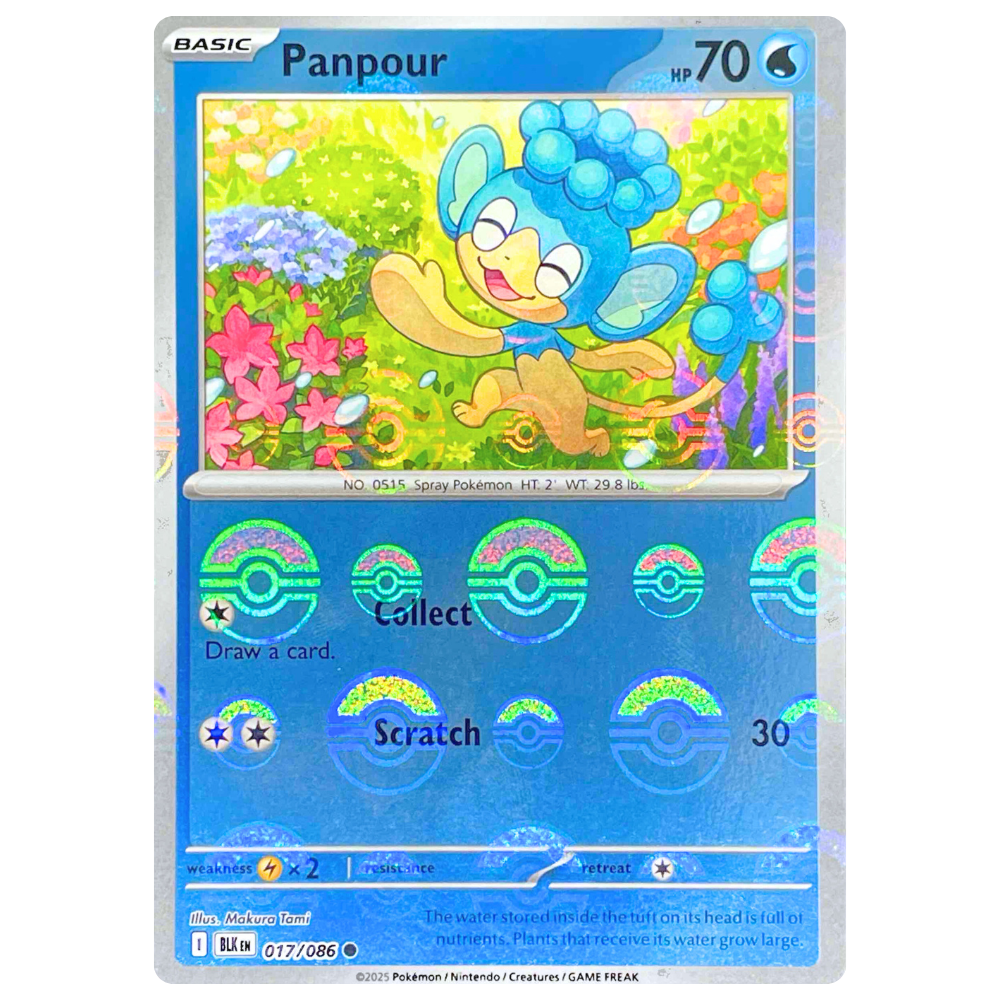 Pokemon TCG - Panpour 017/086 - Poke Ball Reverse Holo NM/M [Black Bolt]