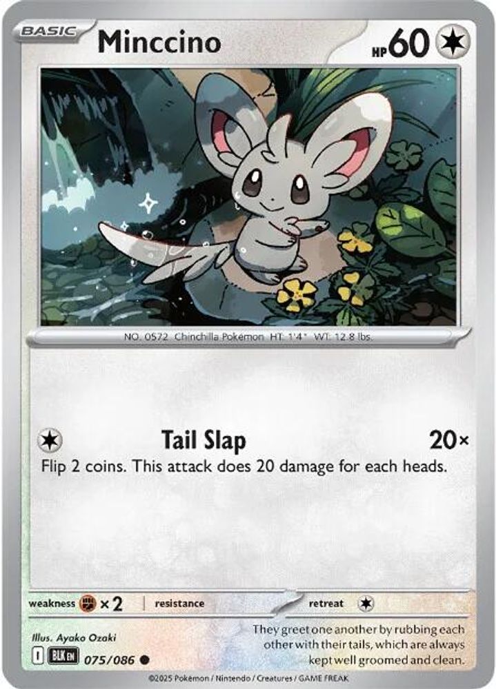 Pokemon TCG - Minccino 075/086 Black Bolt NM