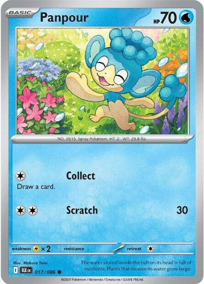 Pokemon TCG - Panpour 017/086 Black Bolt NM
