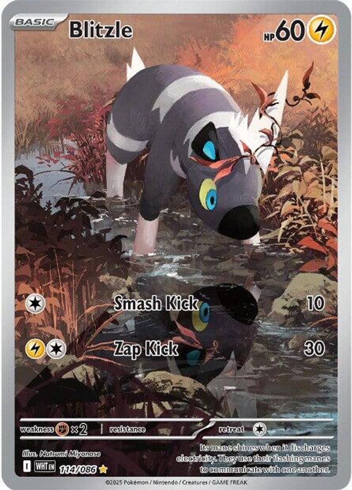 Blitzle 114/086 Illustration Rare White Flare Pokemon NM