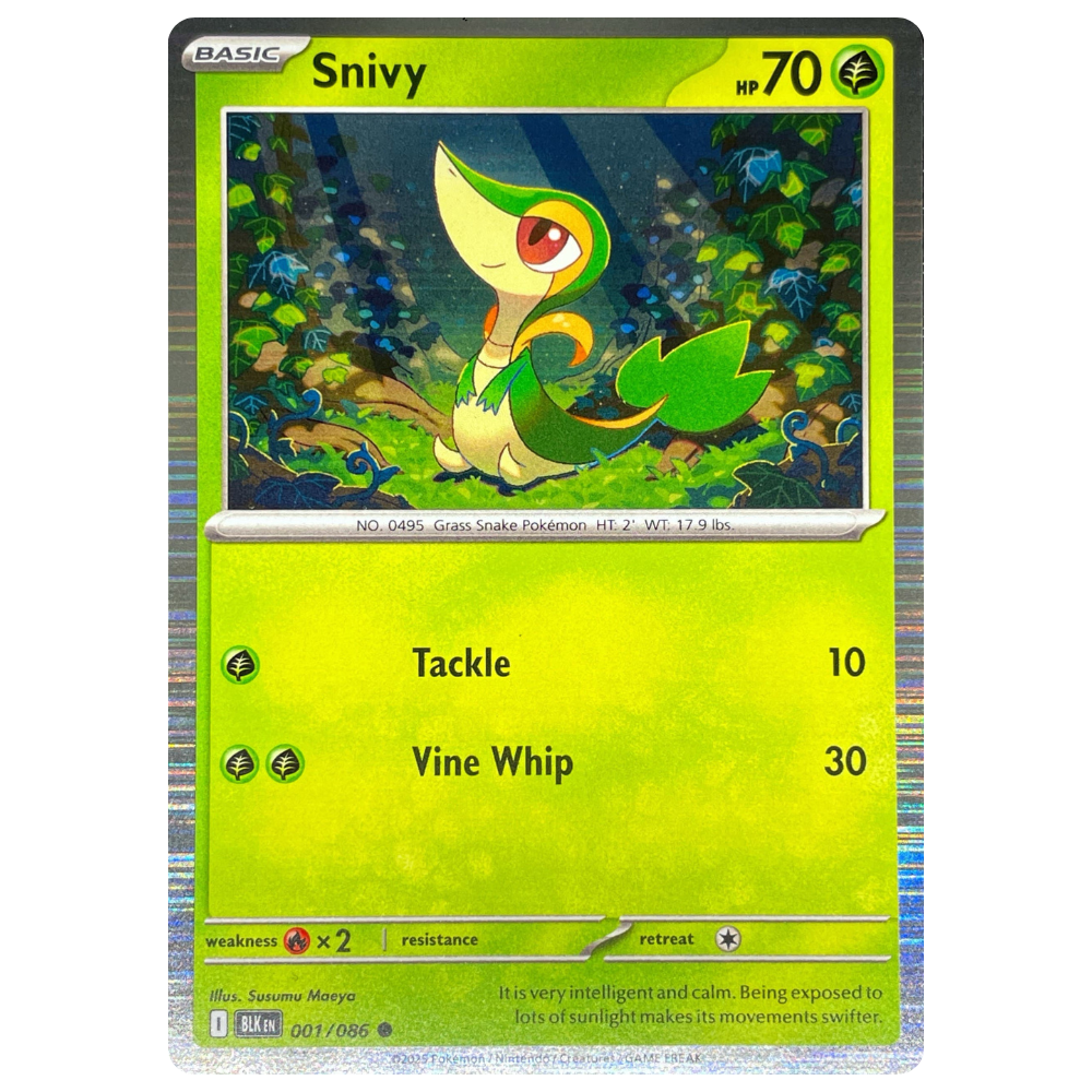 Pokemon TCG - Snivy 001/086 - Promo Holo NM/M [Black Bolt]